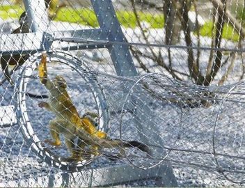 316 فيرول نوع سلك كابل حبل الفولاذ المقاوم للصدأ شبكة حديقة لشبكة الطيور القفص المعاوضة